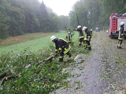 Technische Hilfe am 11.09.2011, Bild 2