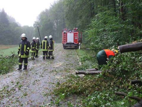 Technische Hilfe am 11.09.2011, Bild 3
