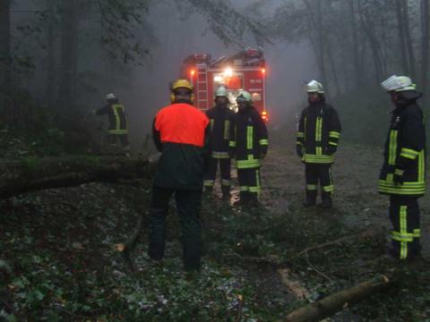 Technische Hilfe am 11.09.2011, Bild 6