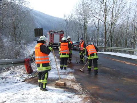 Technische Hilfe am 04.02.2012, Bild 5