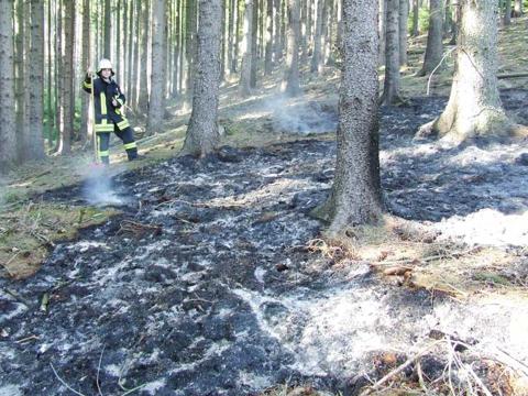 Brandeinsatz am 30.04.2012, Bild 3